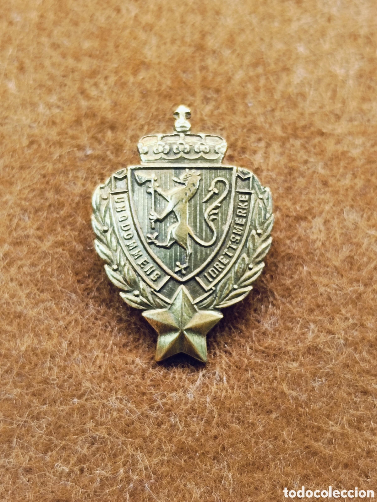 Pins de colecci&oacute;n: ANTIGUA INSIGNIA ALFILER. ASOCIACI&Oacute;N DEPORTIVA JUVENIL . NORUEGA