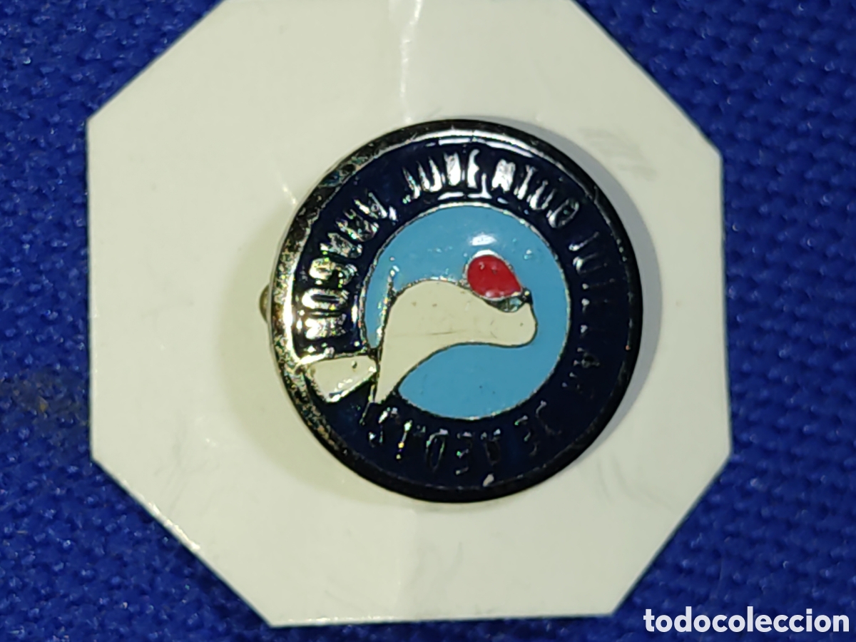 Pins de colecci&oacute;n: Insignia de aguja esmaltada o pin Arag&oacute;n.