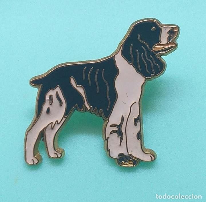 Pins de colecci&oacute;n: PIN Colecci&oacute;n Fauna Animales de Compa&ntilde;ia Perro 1.
