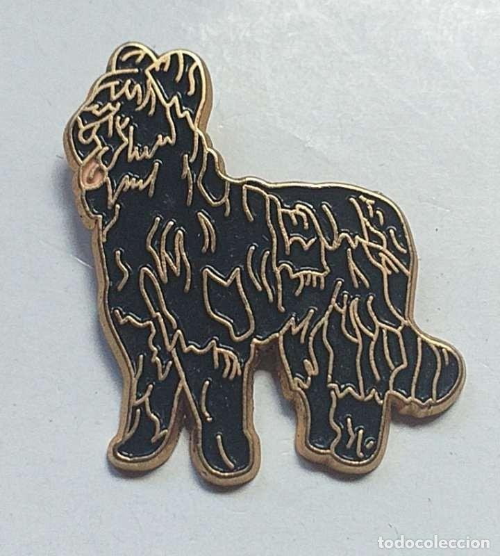 Pins de colecci&oacute;n: PIN Colecci&oacute;n Fauna Animales de Compa&ntilde;ia Perro 2