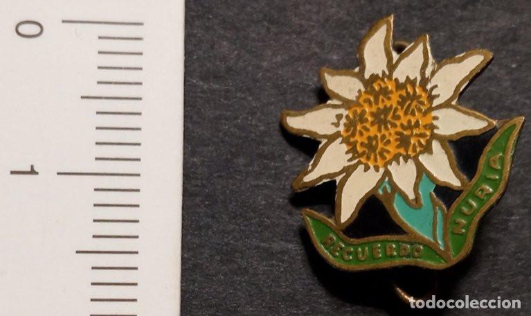 Pins de colecci&oacute;n: INSIGNIA DE ALFILER - RECUERDO DE NURIA (GIRONA) - FLOR DE EDELWEISS