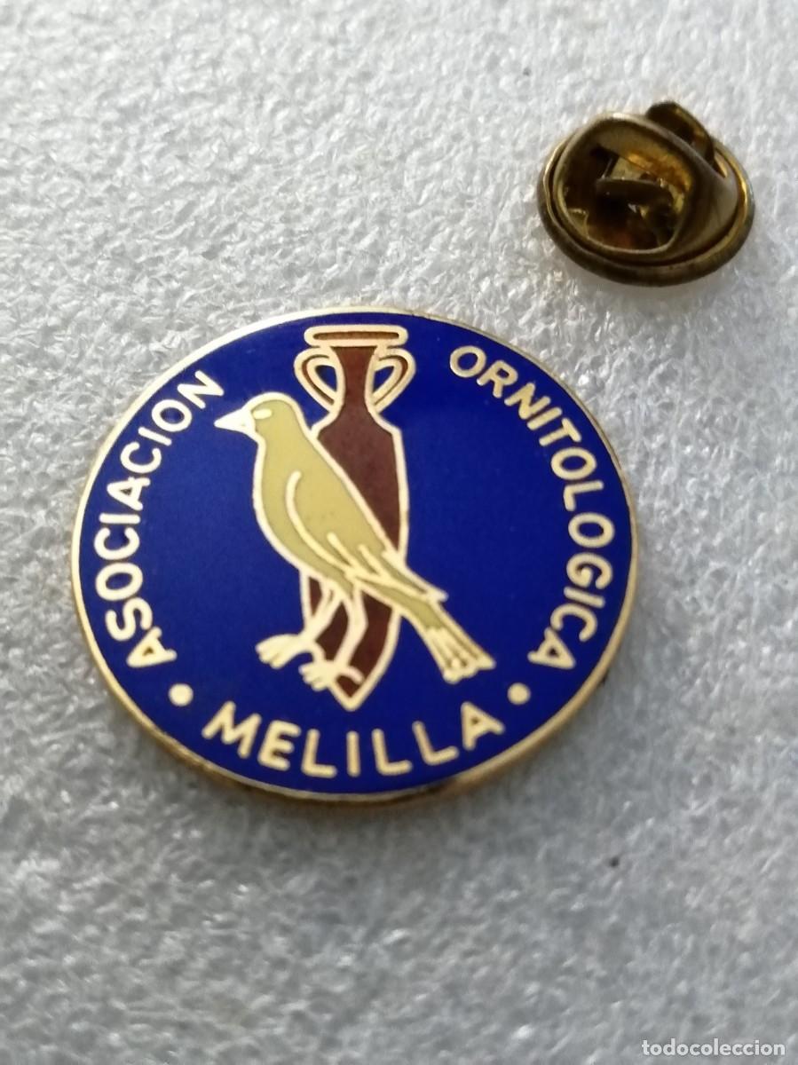 Pins de colecci&oacute;n: PIN 000 &Uacute;NICO ESMALTADO A FUEGO INSIGNIA ANTIGUA ASOCIACION ORNITOLOGICA MELILLA CALIDAD