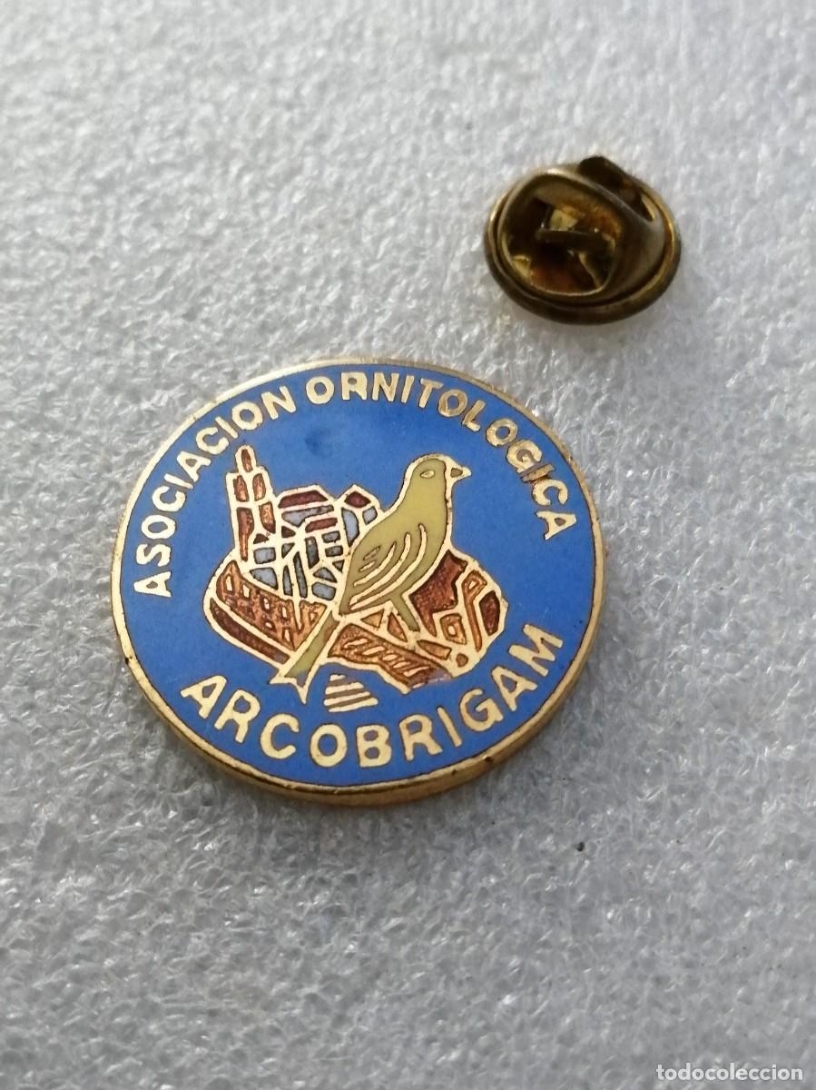 Pins de colecci&oacute;n: PIN 000 &Uacute;NICO ESMALTADO A FUEGO INSIGNIA ANTIGUA ASOCIACION ORNITOLOGICA ARCOBRIGAN CALIDAD