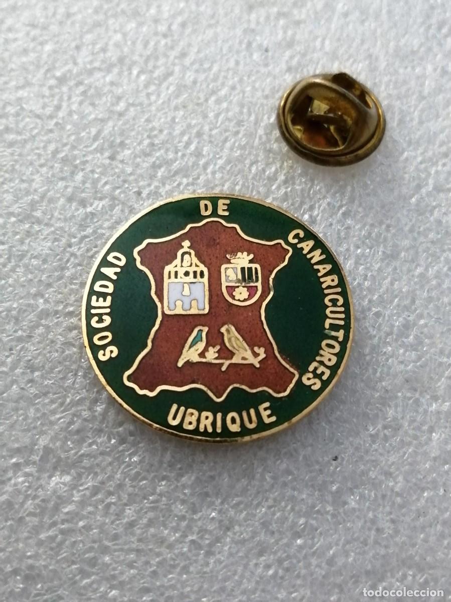 Pins de colecci&oacute;n: PIN 000 &Uacute;NICO ESMALTADO FUEGO ANTIGUO SOCIEDAD CANARICULTORES UBRIQUE ASOCIACION ORNITOLOGICA