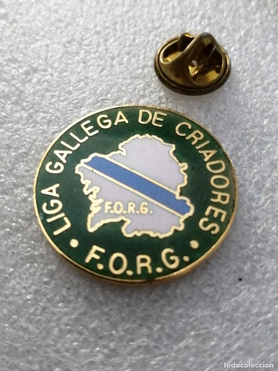 Pins de colecci&oacute;n: PIN 000 &Uacute;NICO ESMALTADO FUEGO ANTIGUO LIGA GALLEGA ASOCIACION ORNITOLOGICA CRIADEROS GALICIA FORG