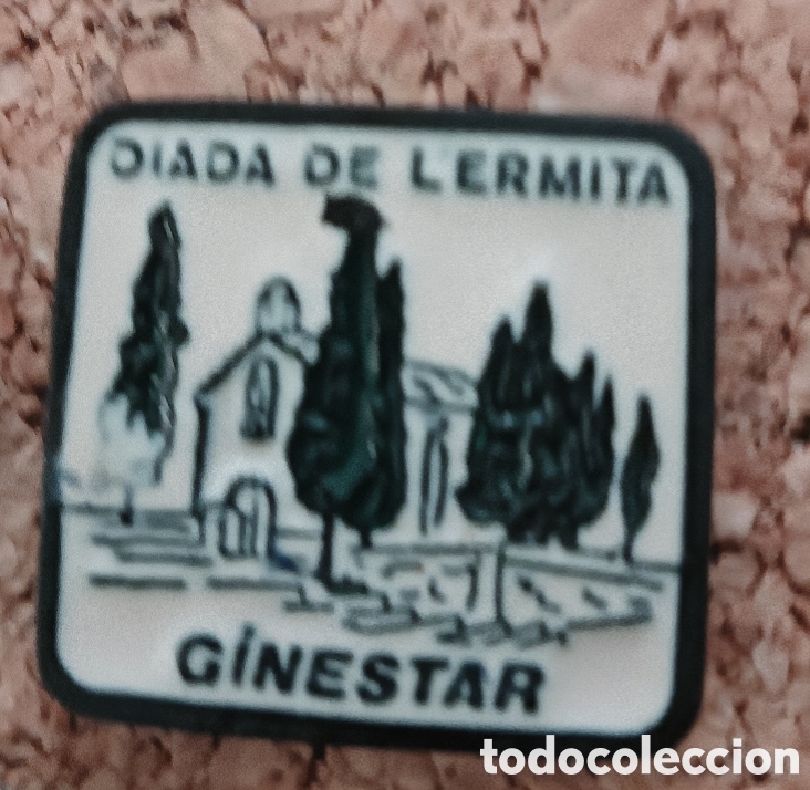 Pins de colecci&oacute;n: PIN DIADA DE L'ERMITA - GINESTAR