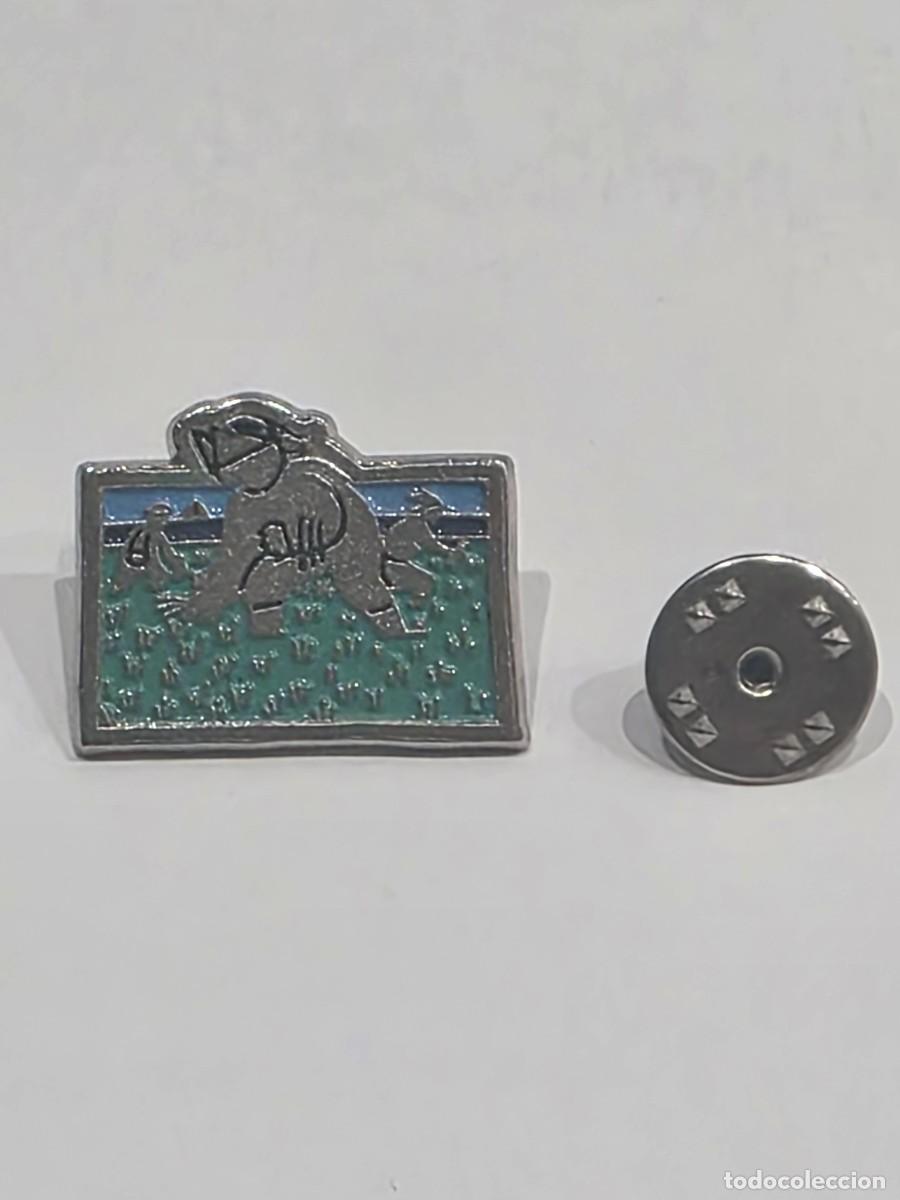 Pins de colecci&oacute;n: Pins de EL PA&Iacute;S Catalunya Moderna. Comarques de Catalunya: Baix Ebre Anys 90.