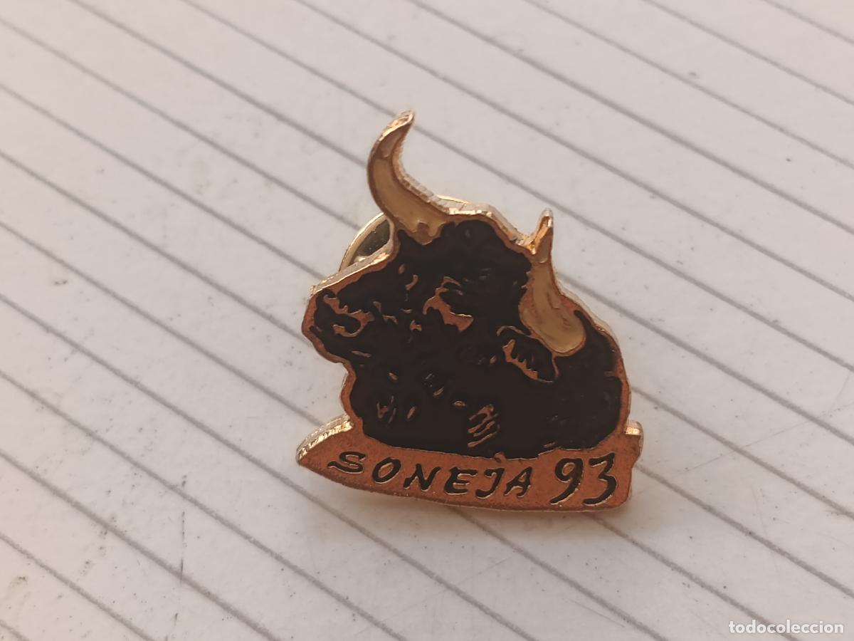 Pins de colecci&oacute;n: Sonej&aacute;, Castell&oacute;n. Pin