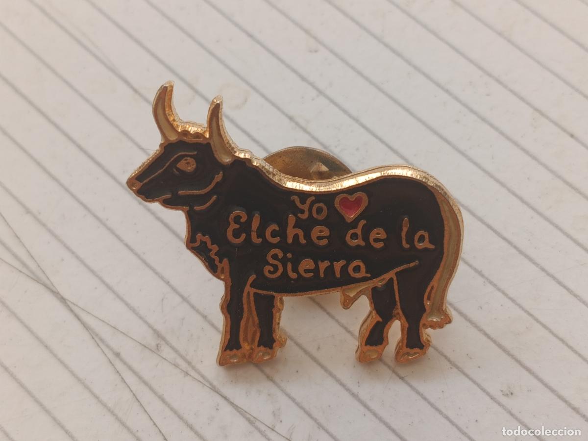 Pins de colecci&oacute;n: Elche de la Sierra. Toros. Pin