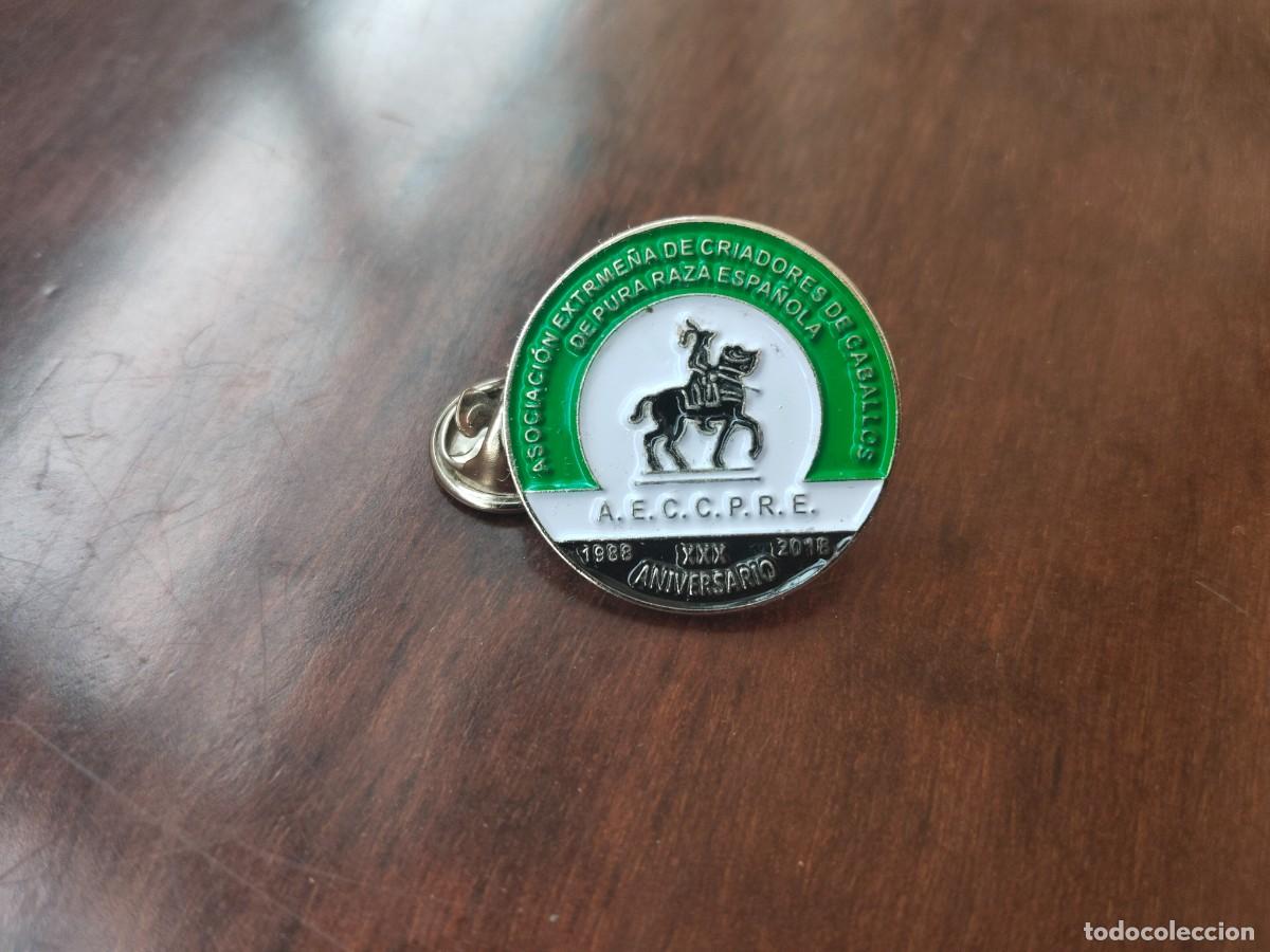 Pin's de collection: Pin de la Asociaci&oacute;n Extreme&ntilde;a de Criadores de Caballos de Puta Raza Espa&ntilde;ola.