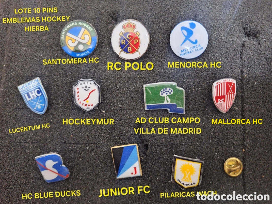 Pins de cole&ccedil;&atilde;o: LOTE 10 PINS PIN EMBLEMAS HOCKEY HIERBA