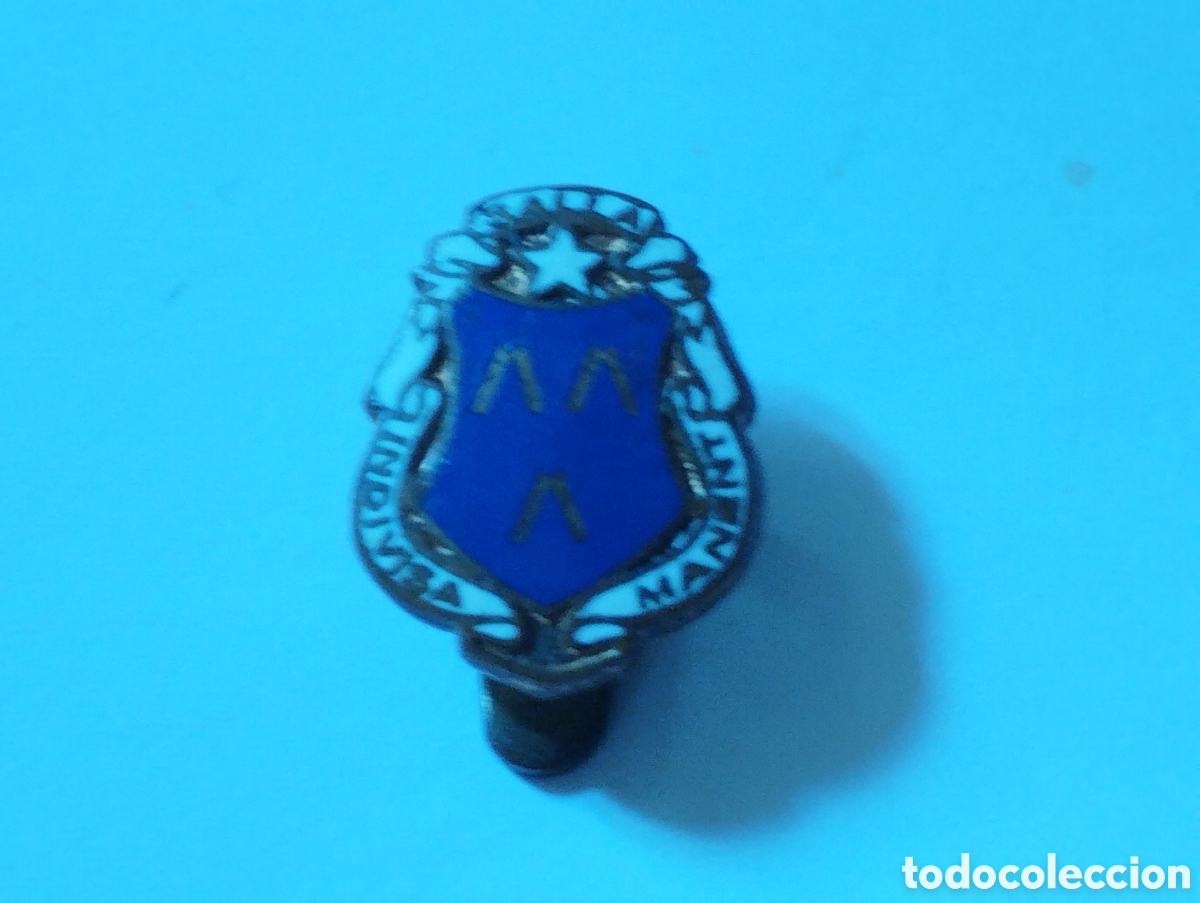Pins de colecci&oacute;n: Ins&iacute;gnia de solapa Indivisa manent salla