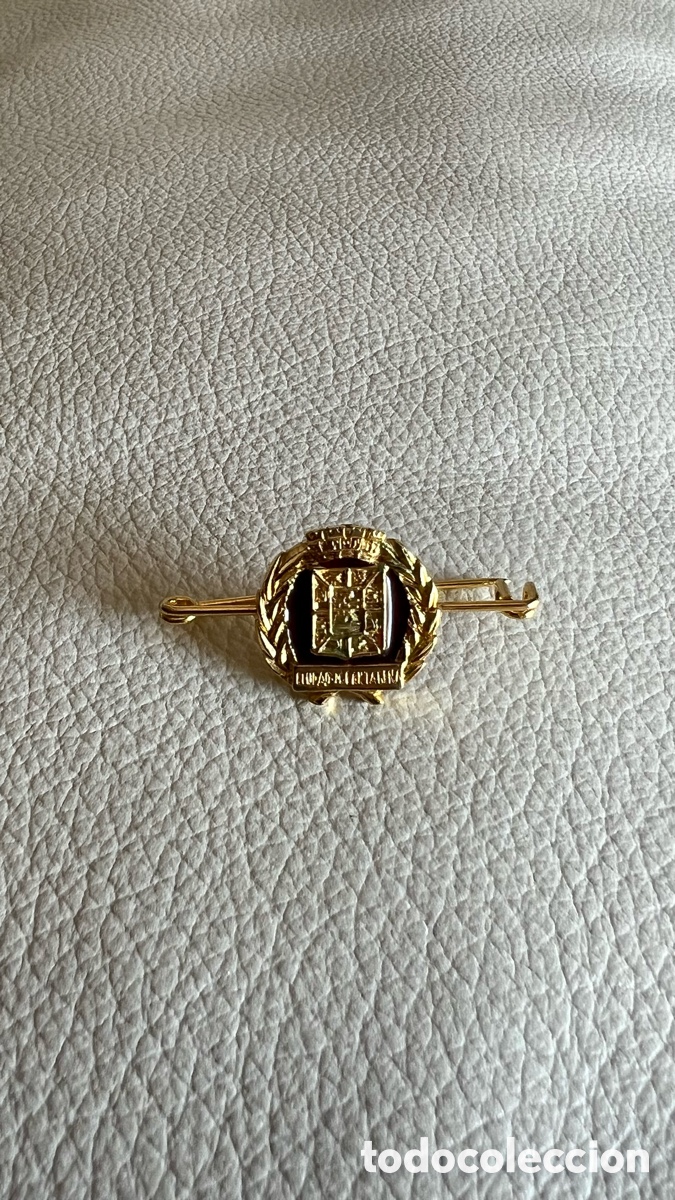 Pins de colecci&oacute;n: INSIGNIA PIN AGUJA ANTIGUA CIUDAD DE CARTAGENA