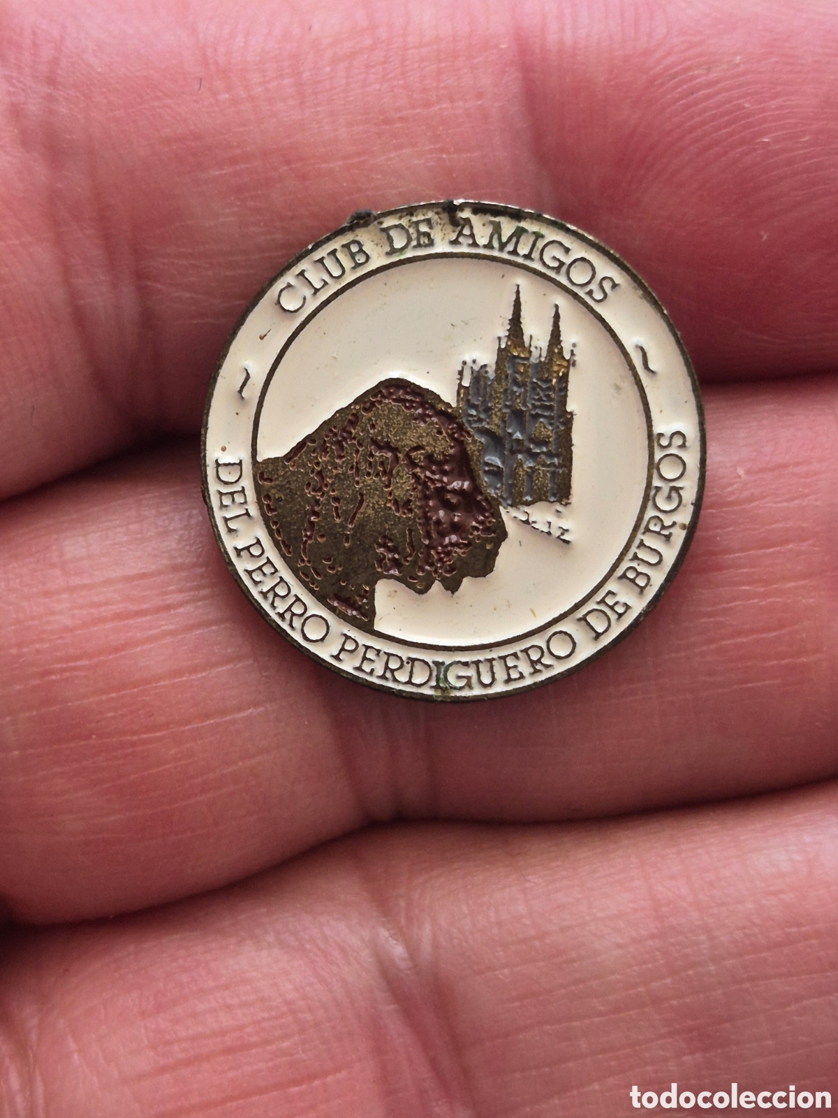 Pins de colecci&oacute;n: Pin Club perro perdiguero de Burgos