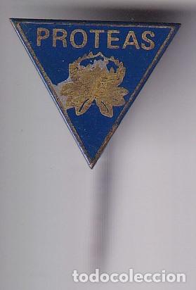 Pins de cole&ccedil;&atilde;o: ANTIGUA INSIGNIA DE AGUJA LARGA DE PROTEAS
