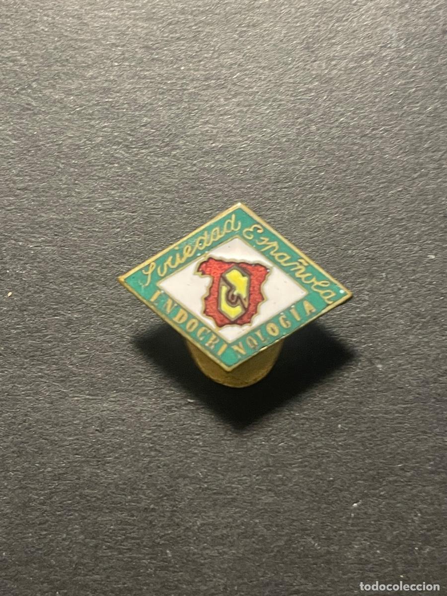 Pins de colecci&oacute;n: ANTIGUA INSIGNIA SOLAPERA ESMALTADA - SOCIEDAD ESPA&Ntilde;OLA ENDOCRINOLOGIA - 2X1,5 CM.