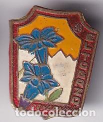 Sammlung von Pins: ANTIGUA INSIGNIA IMPERDIBLE DE EL TOBAZO DE CANDANCHU