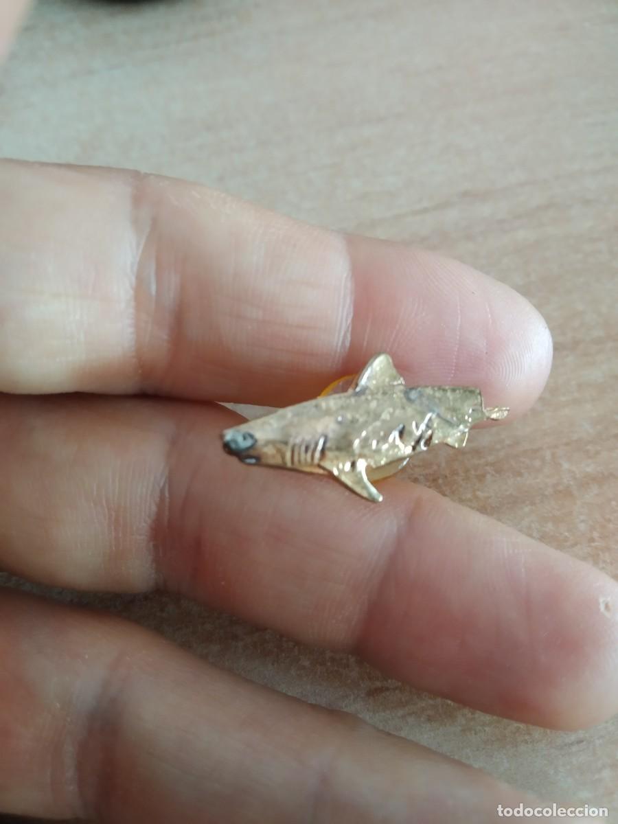 Pins de colecci&oacute;n: PIN PEZ FAUNA PESCA ANIMAL