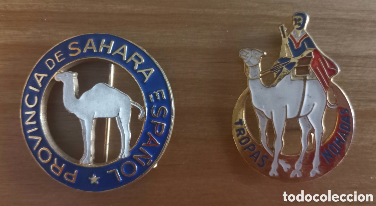 Pins de colecci&oacute;n: LOTE 2 ALFILERES SAHARA PROVINCIA ESPA&Ntilde;OLA Y TROPAS N&Oacute;MADAS