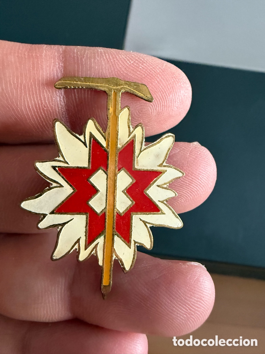 Pins de colecci&oacute;n: Antigua Insignia. ALPINISMO SUIZA. 4 cm