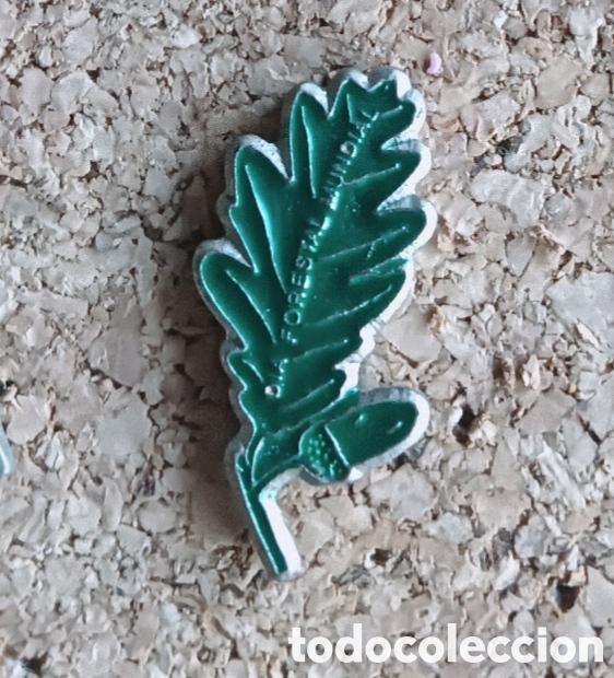 Pins de colecci&oacute;n: PIN DIA FORESTAL MUNDIAL A&Ntilde;OS 90