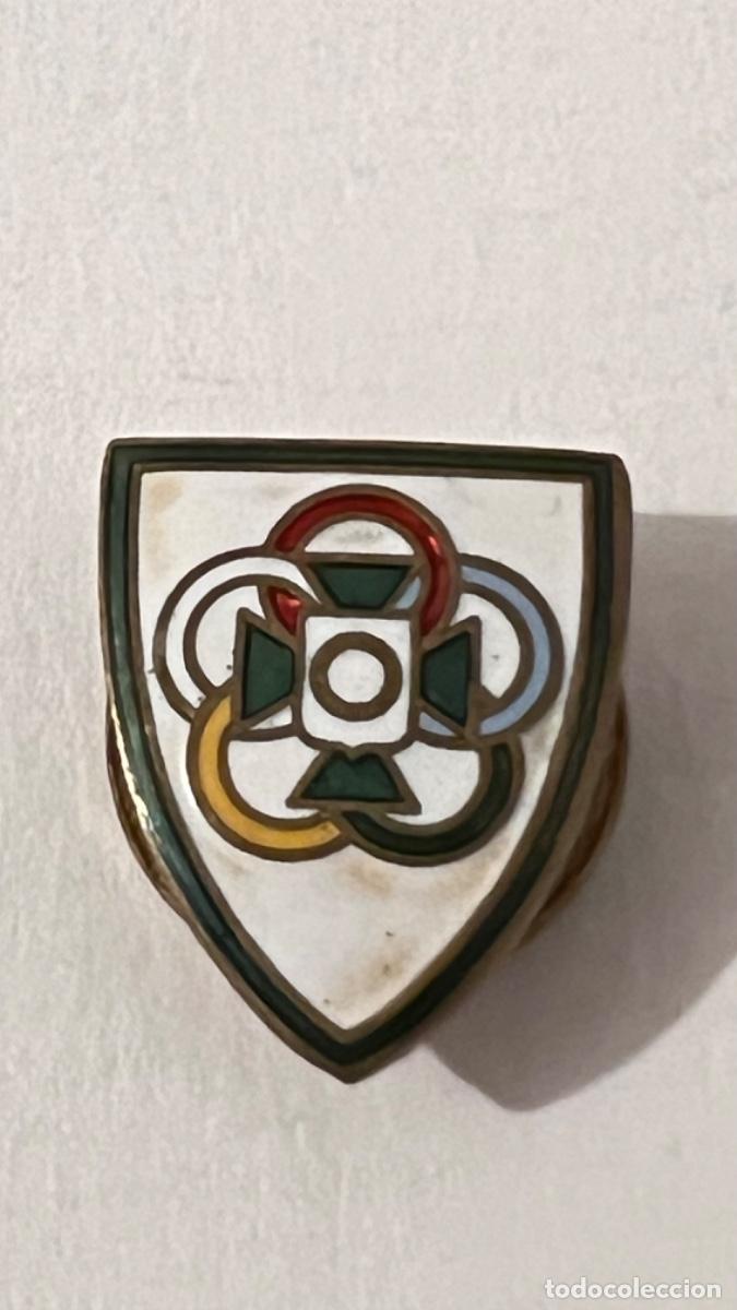 Pins de colecci&oacute;n: Insignia solapa deporte monta&ntilde;a excursionista alpinista escalada