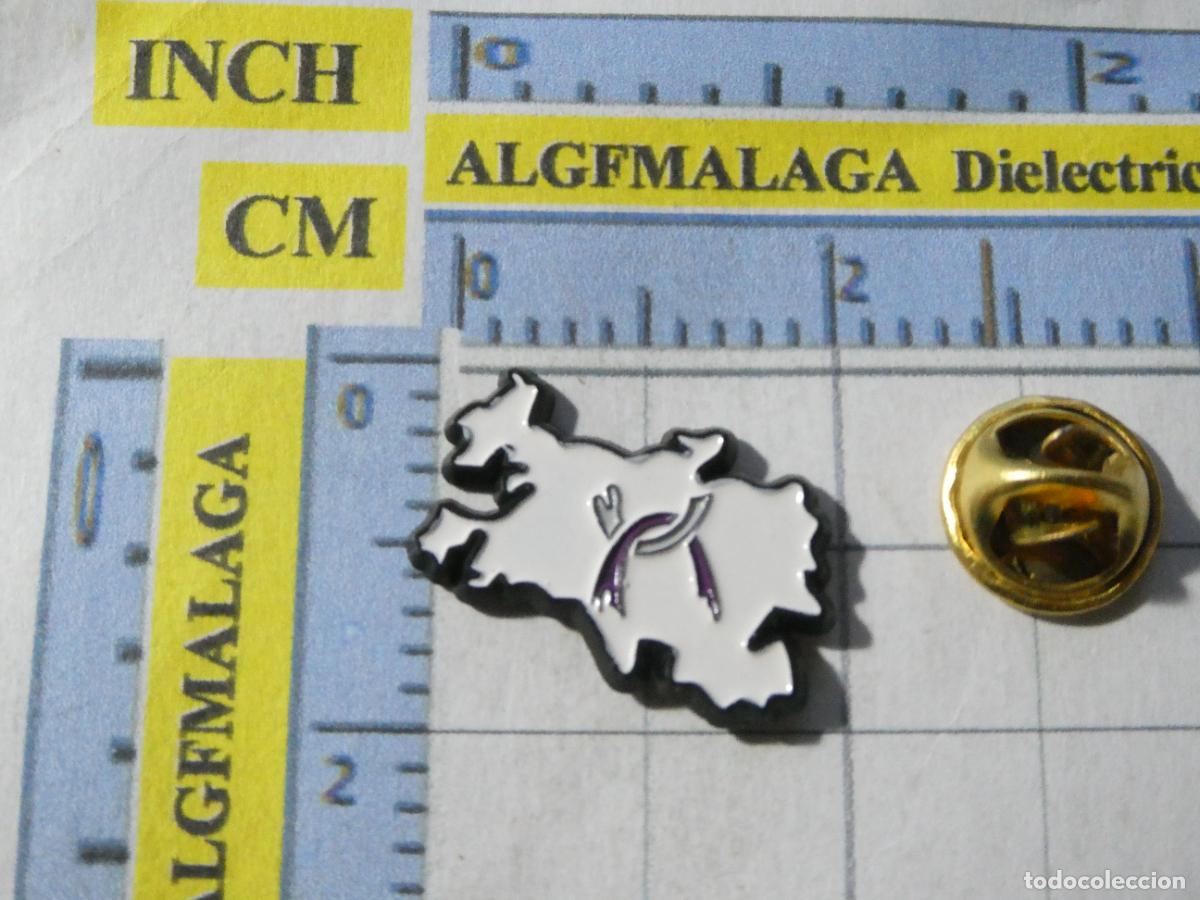 Pins de colecci&oacute;n: PIN POL&Iacute;TICO SINDICAL. VITORIA GASTEIZ PAIS VASCO PARTIDO UNIDAD ALAVESA