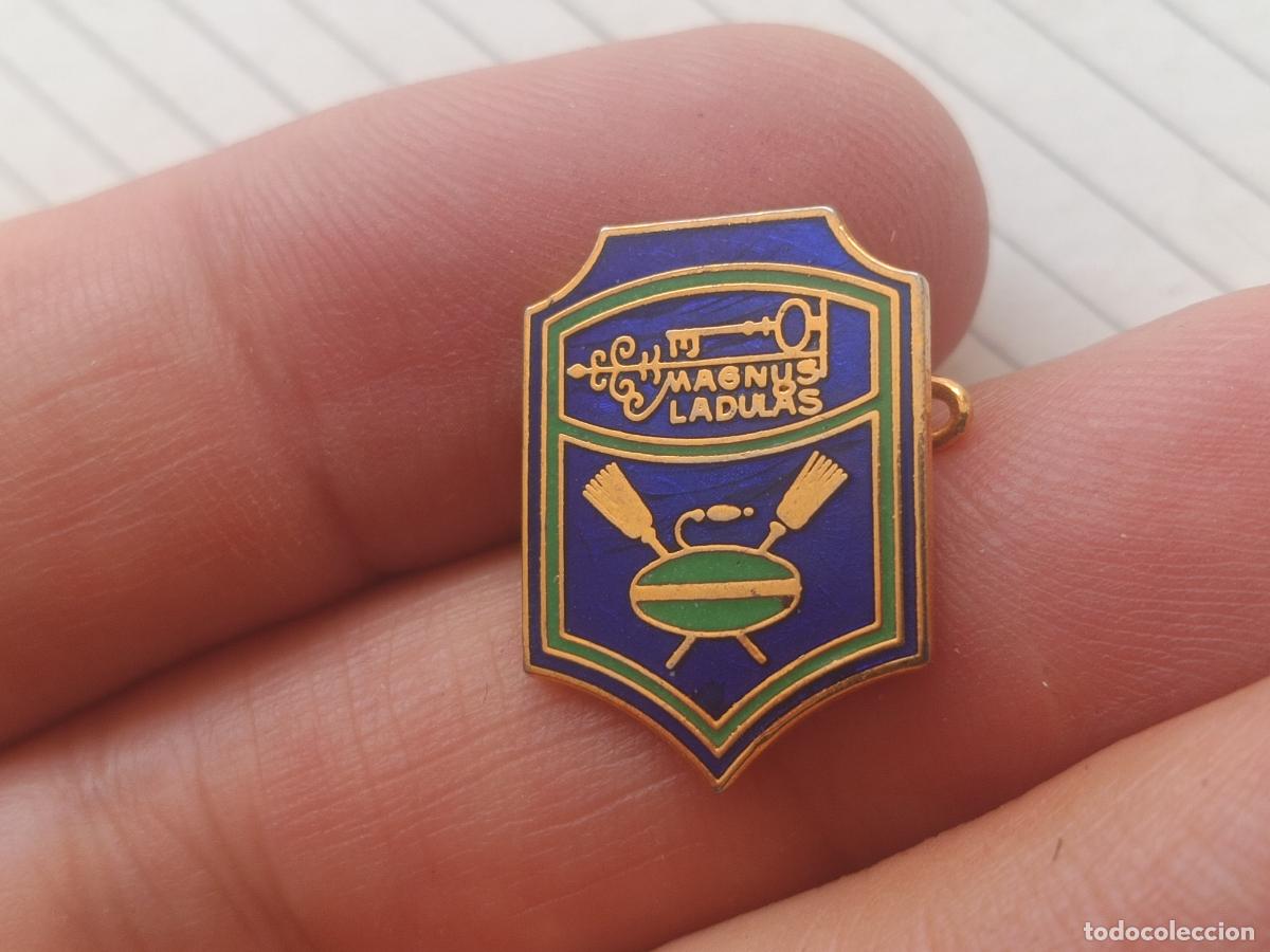 Pins de colecci&oacute;n: Suecia. Insignia. Magnus Ladul&aacute;s