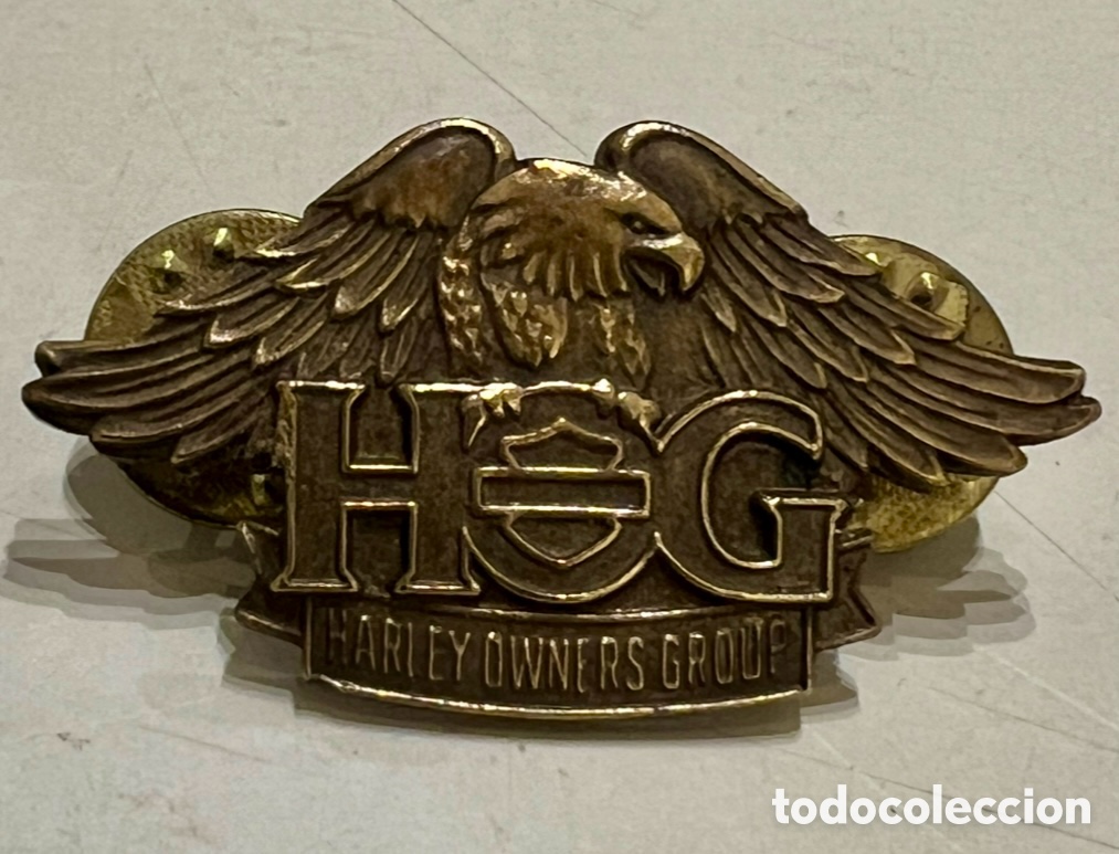 Pins de colecci&oacute;n: Pin. HARLEY-DAVIDSON. Harley Owners Group. Metal. 2013.
