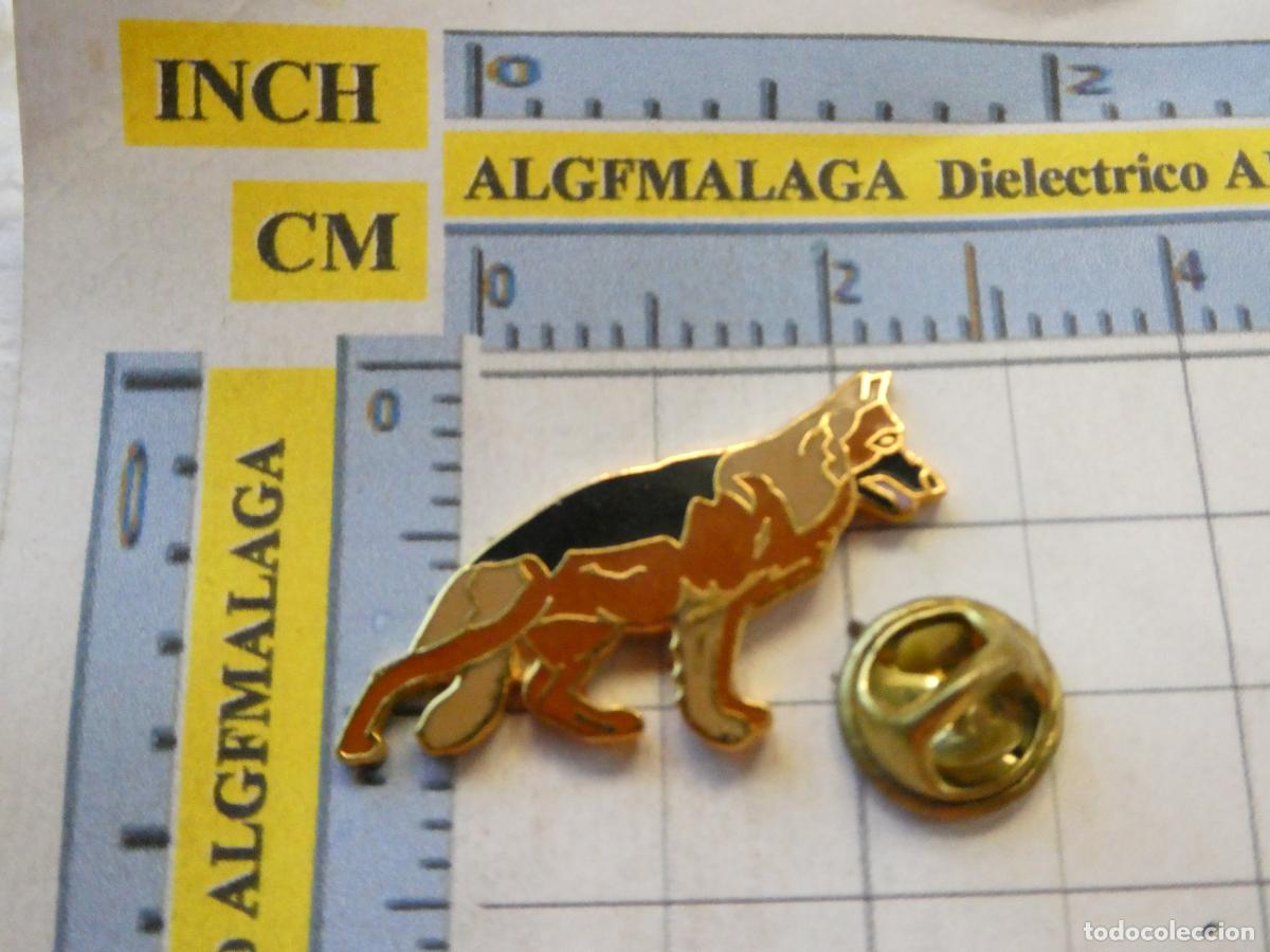 Pins de colecci&oacute;n: PIN DE ANIMALES ECOLOG&Iacute;A NATURALEZA. PERRO TIPO PASTOR ALEM&Aacute;N