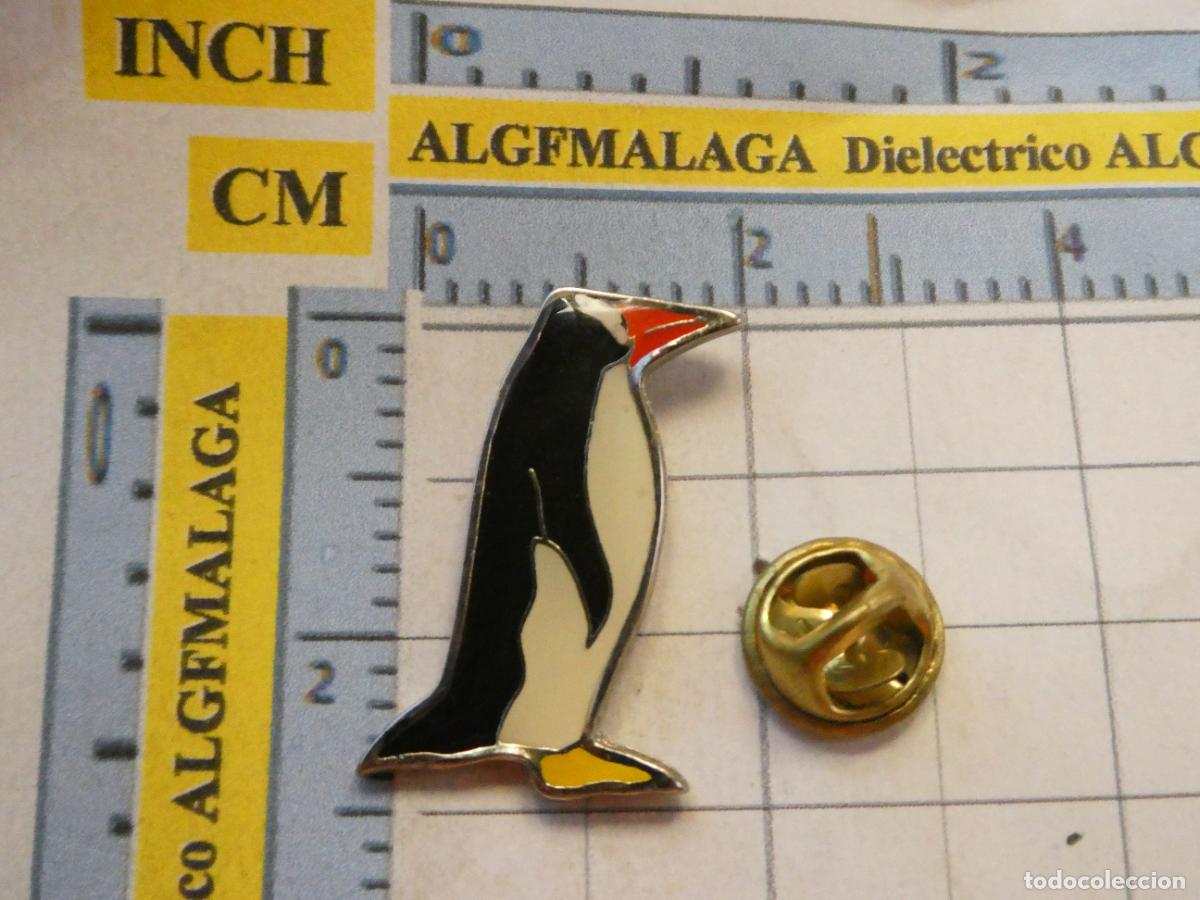 Pins de colecci&oacute;n: PIN DE ANIMALES ECOLOG&Iacute;A NATURALEZA. PING&Uuml;INO