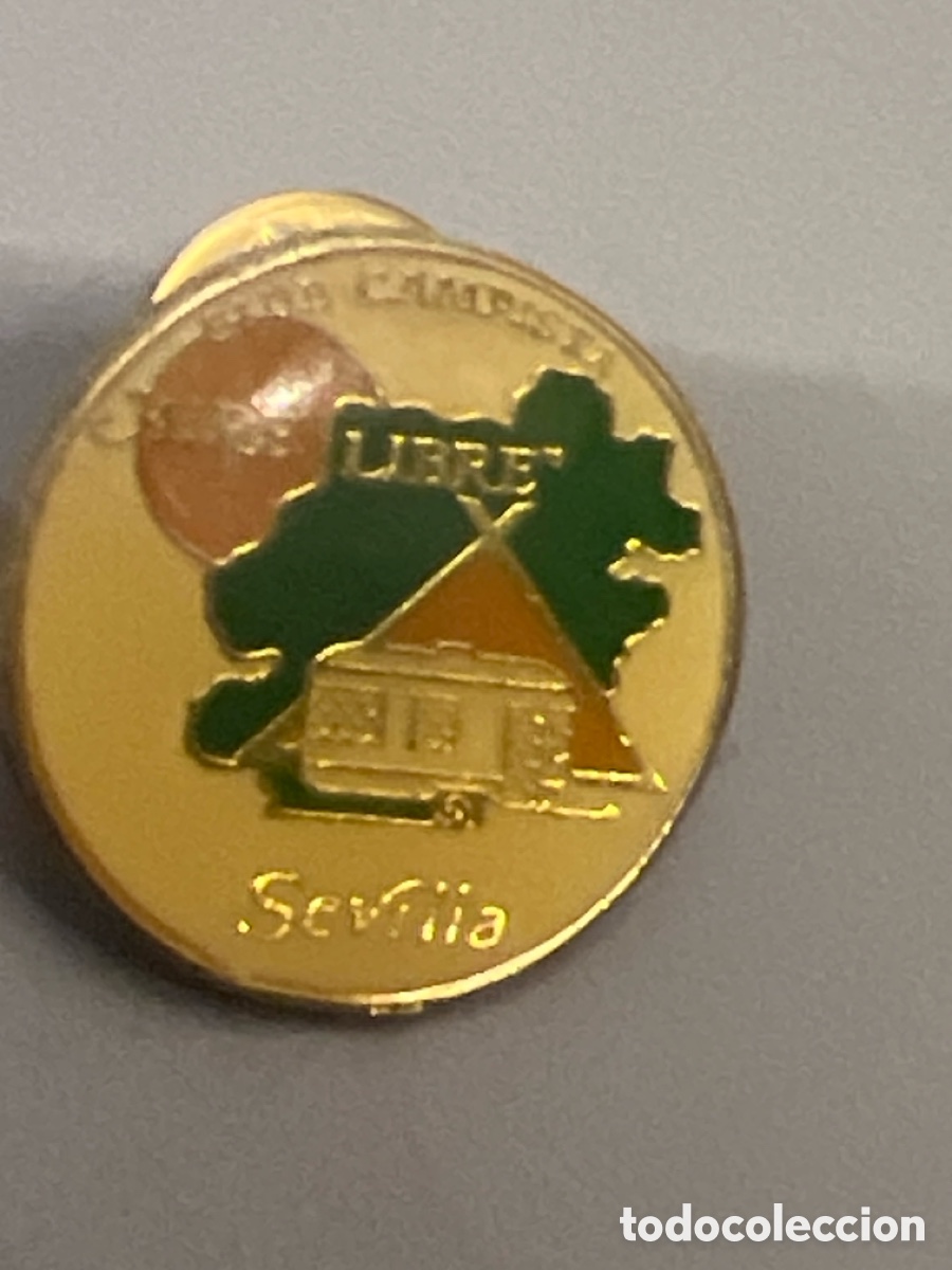 Pins de colecci&oacute;n: T1/E2/160. PIN - PINS - alfiler - &eacute;pingle