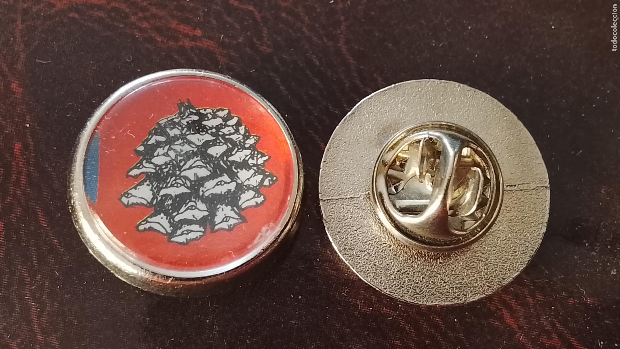 Pins de colecci&oacute;n: pin redondo metal - ( arte upcycling ) - PLANTAS ECOLOGISTA BOTANICA CIENCIAS - PLANTAS PINACEAS