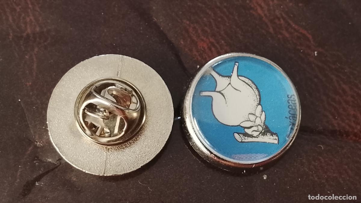 Pins de colecci&oacute;n: pin redondo metal - PLANTAS ECOLOGISTA BOTANICA CIENCIAS naturales - PLANTAS familias botanicas