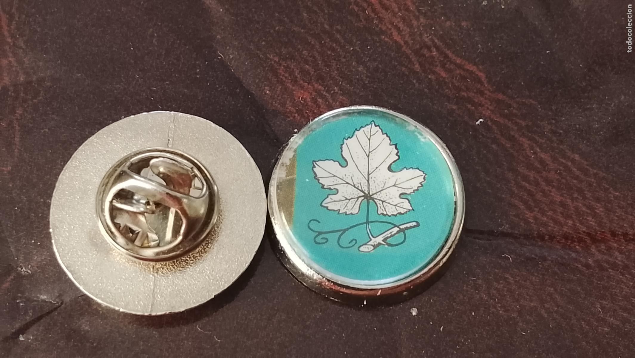 Pins de colecci&oacute;n: pin redondo metal - PLANTAS ECOLOGISTA BOTANICA CIENCIAS naturales - PLANTAS familias botanicas