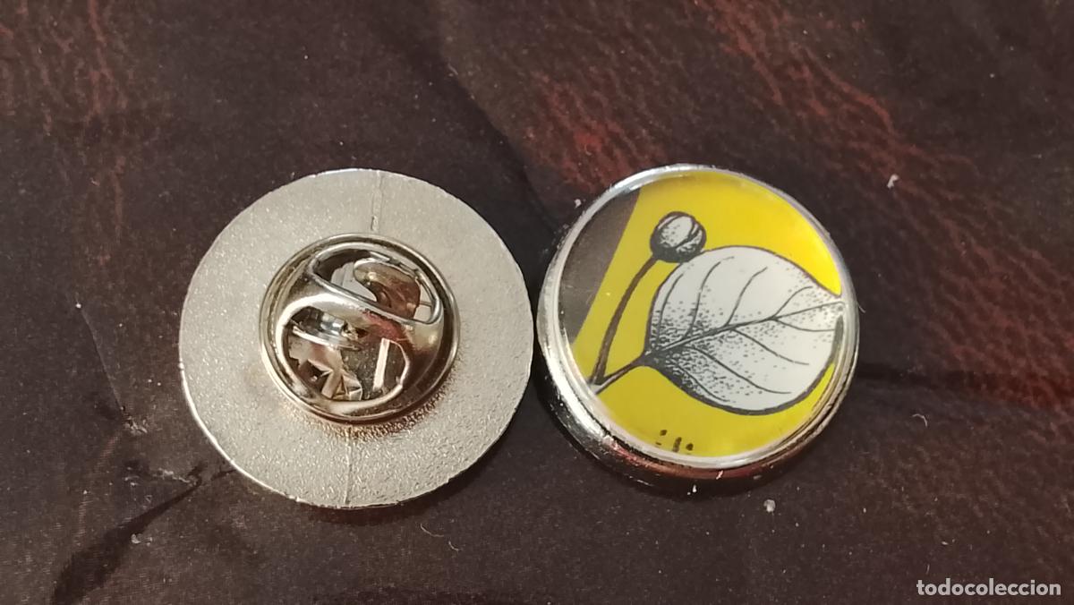 Pins de colecci&oacute;n: pin redondo metal - PLANTAS ECOLOGISTA BOTANICA CIENCIAS naturales - PLANTAS familias botanicas