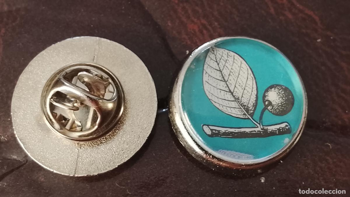 Pins de colecci&oacute;n: pin redondo metal - PLANTAS ECOLOGISTA BOTANICA CIENCIAS naturales - PLANTAS familias botanicas