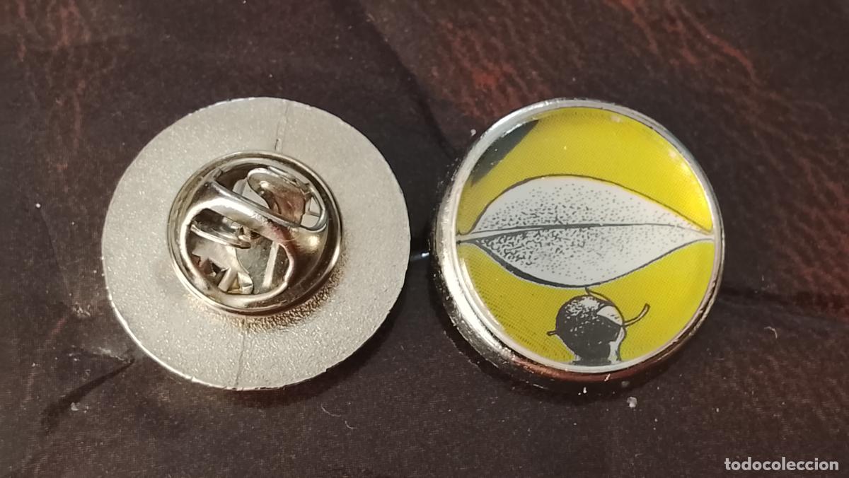 Pins de colecci&oacute;n: pin redondo metal - PLANTAS ECOLOGISTA BOTANICA CIENCIAS naturales - PLANTAS familias botanicas