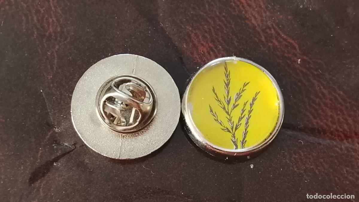 Pins de colecci&oacute;n: pin redondo metal - PLANTAS ECOLOGISTA BOTANICA CIENCIAS naturales - PLANTAS familias botanicas