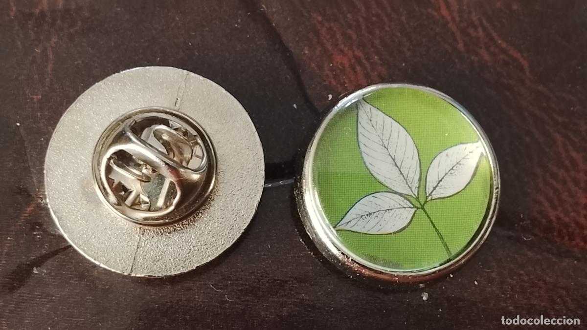 Pins de colecci&oacute;n: pin redondo metal - PLANTAS ECOLOGISTA BOTANICA CIENCIAS naturales - PLANTAS familias botanicas
