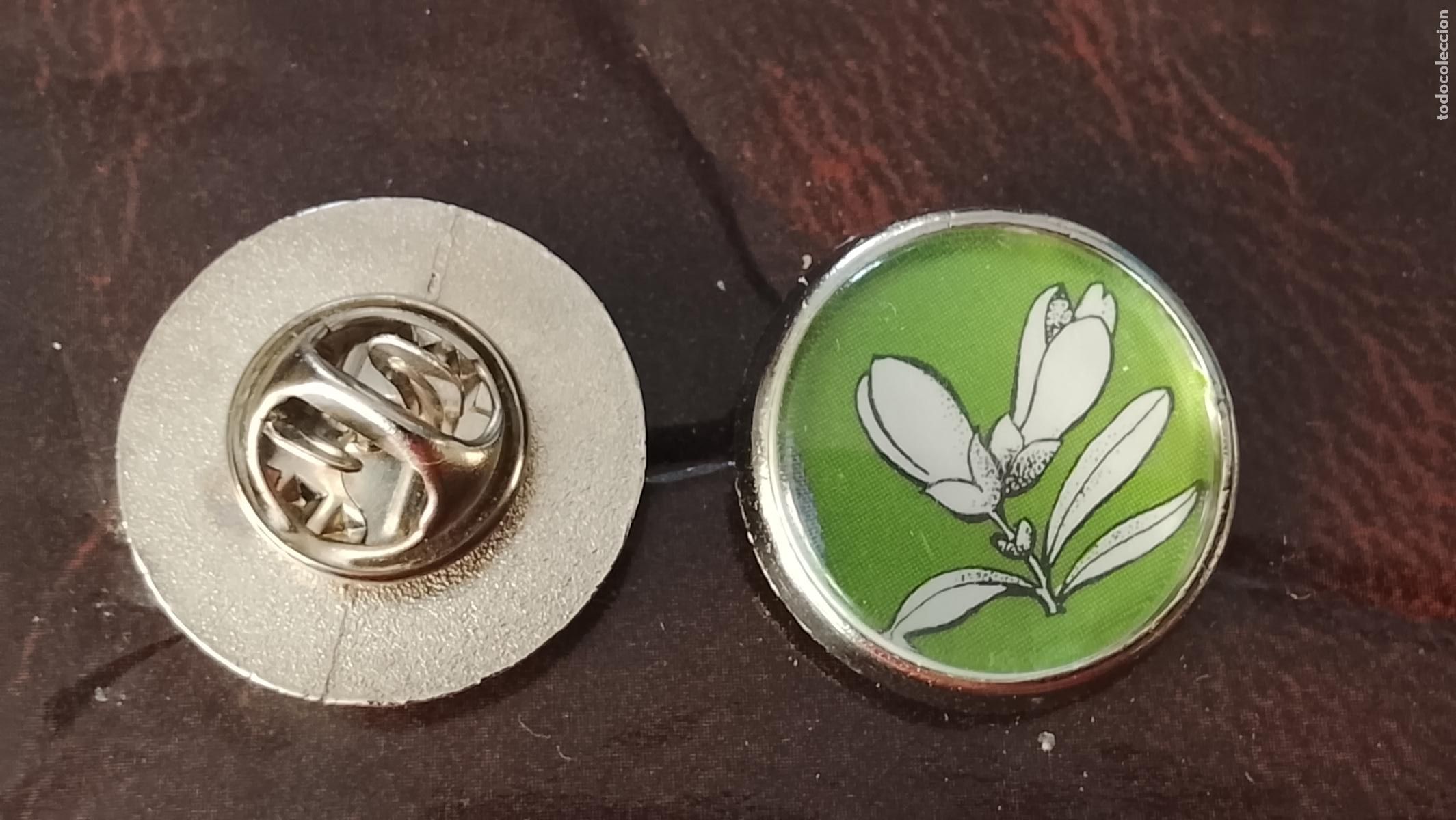 Pins de colecci&oacute;n: pin redondo metal - PLANTAS ECOLOGISTA BOTANICA CIENCIAS naturales - PLANTAS familias botanicas
