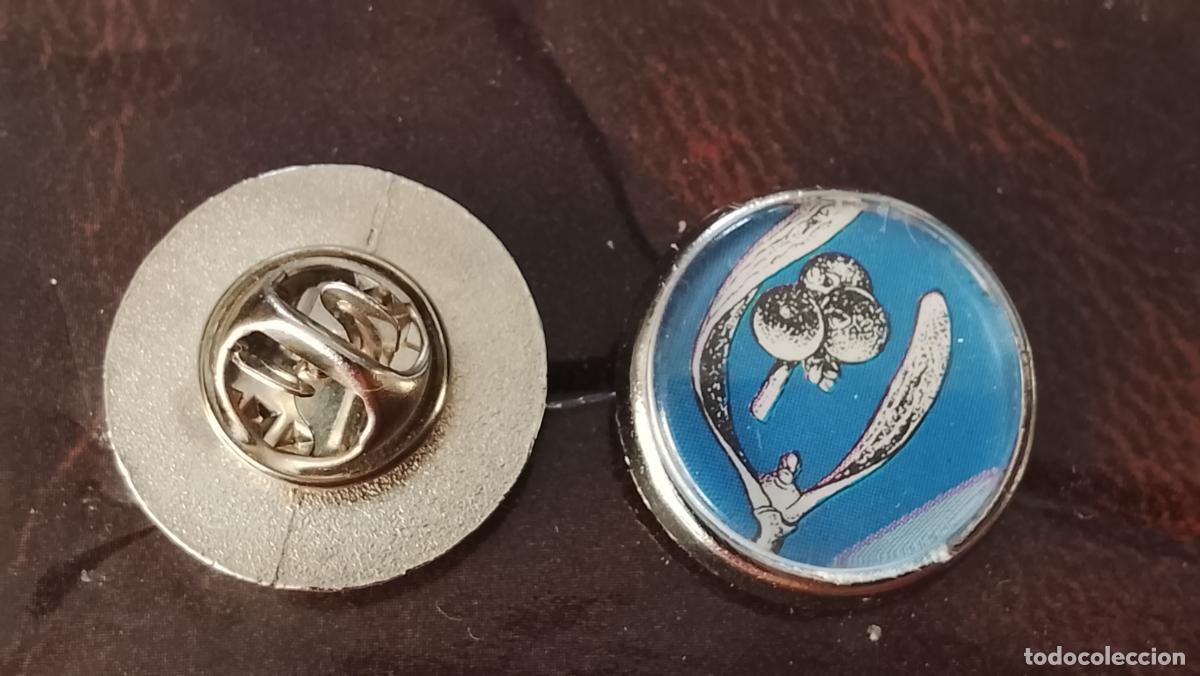 Pins de colecci&oacute;n: pin redondo metal - PLANTAS ECOLOGISTA BOTANICA CIENCIAS naturales - PLANTAS familias botanicas
