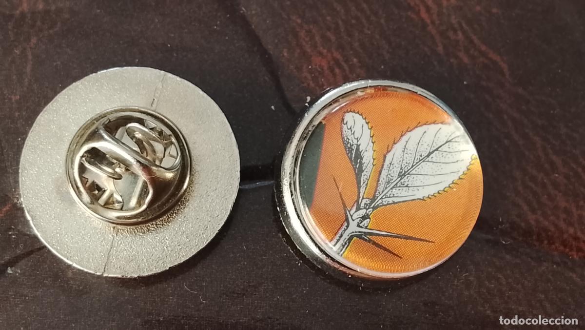 Pins de colecci&oacute;n: pin redondo metal - PLANTAS ECOLOGISTA BOTANICA CIENCIAS naturales - PLANTAS familias botanicas