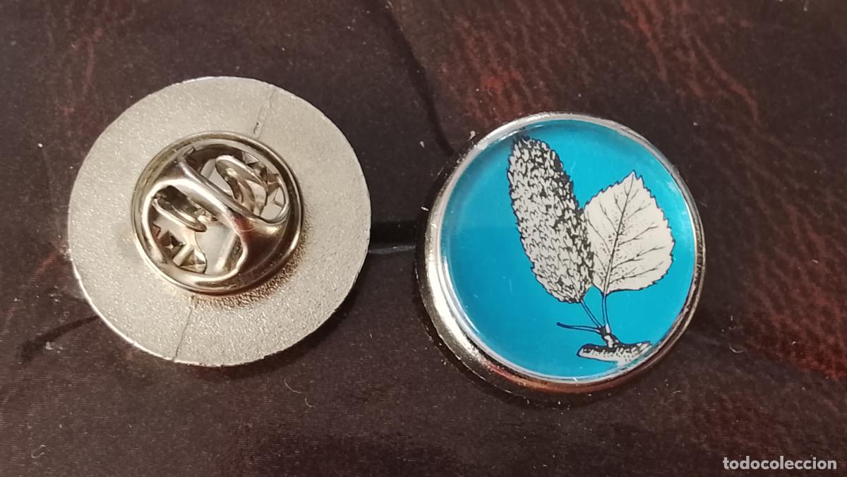 Pins de colecci&oacute;n: pin redondo metal - PLANTAS ECOLOGISTA BOTANICA CIENCIAS naturales - PLANTAS familias botanicas