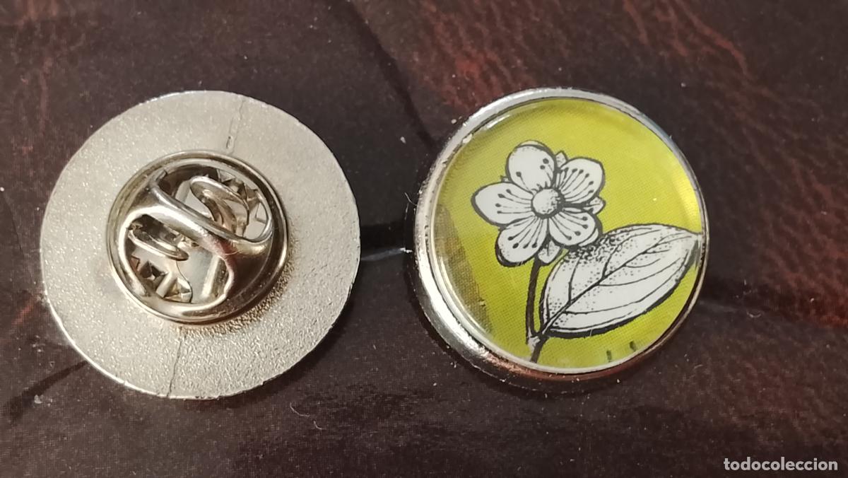 Pins de colecci&oacute;n: pin redondo metal - PLANTAS ECOLOGISTA BOTANICA CIENCIAS naturales - PLANTAS familias botanicas
