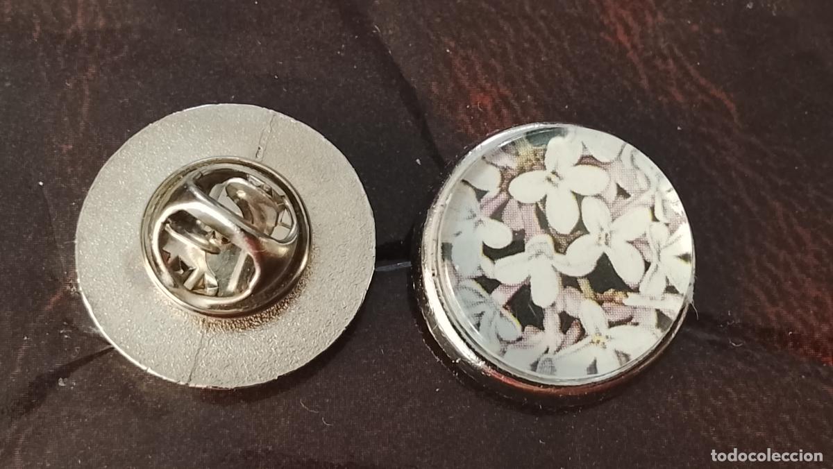 Pins de colecci&oacute;n: pin redondo metal - PLANTAS ECOLOGISTA BOTANICA CIENCIAS naturales - PLANTAS familias botanicas