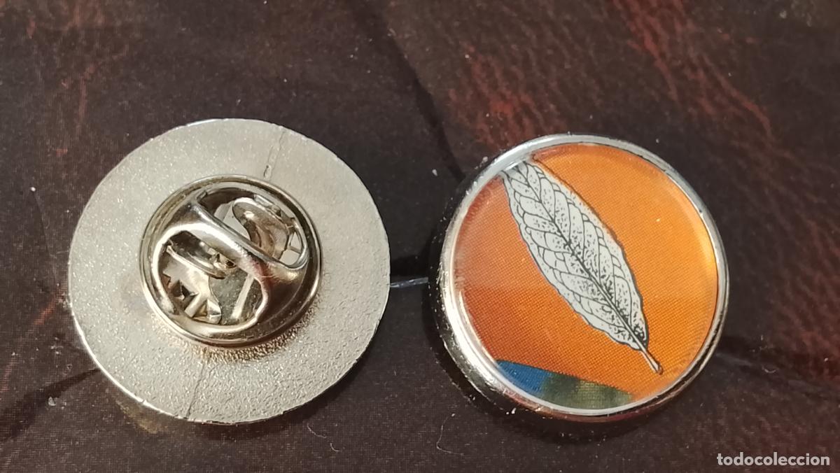 Pins de colecci&oacute;n: pin redondo metal - PLANTAS ECOLOGISTA BOTANICA CIENCIAS naturales - PLANTAS familias botanicas