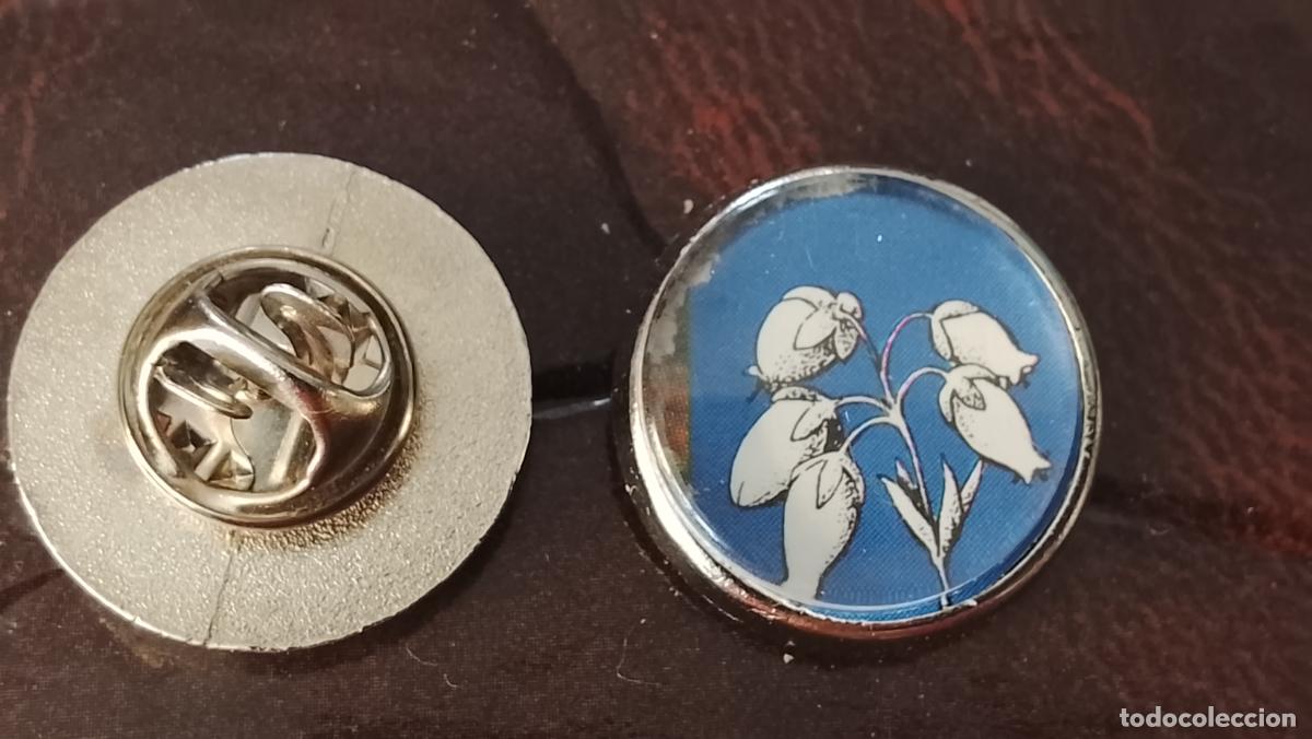 Pins de colecci&oacute;n: pin redondo metal - PLANTAS ECOLOGISTA BOTANICA CIENCIAS naturales - PLANTAS familias botanicas