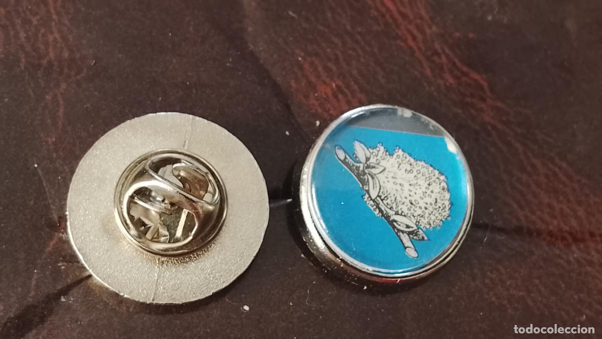 Pins de colecci&oacute;n: pin redondo metal - PLANTAS ECOLOGISTA BOTANICA CIENCIAS naturales - PLANTAS familias botanicas