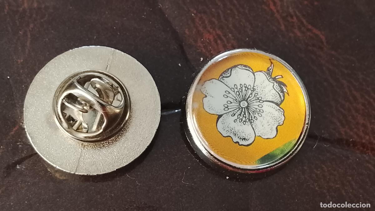 Pins de colecci&oacute;n: pin redondo metal - PLANTAS ECOLOGISTA BOTANICA CIENCIAS naturales - PLANTAS familias botanicas